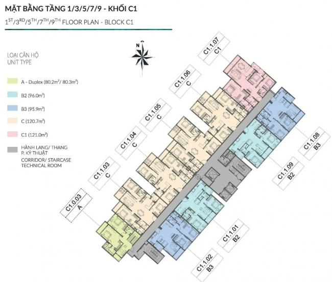 Mặt Bằng Block C1 Diamond Centery Celadon City